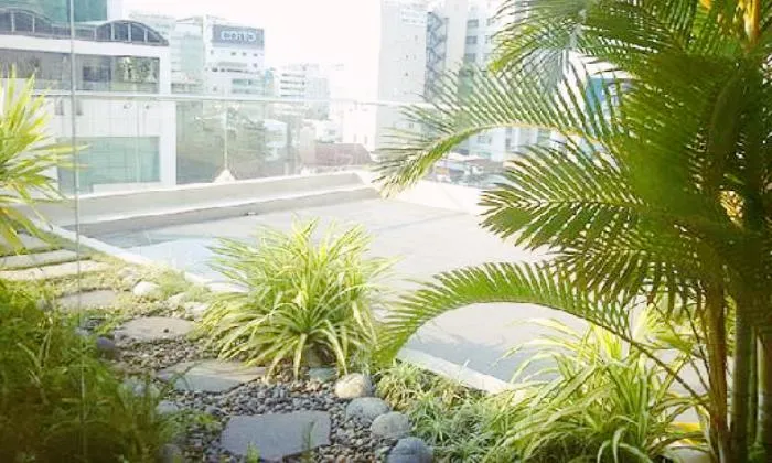 Penthouse Serviced Apartment For Rent Phu Nhuan District,  HCM City 200sqm 1,500 USD/month